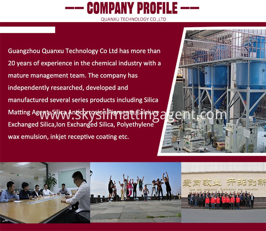 Company Profile Jpg